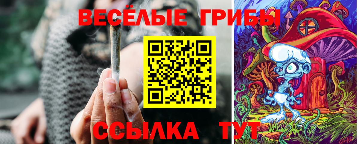 Ревда  Псилоцибиновые грибы мицелий  Псилоцибиновые грибы прущие грибы  наркошоп  Вход с VPN 