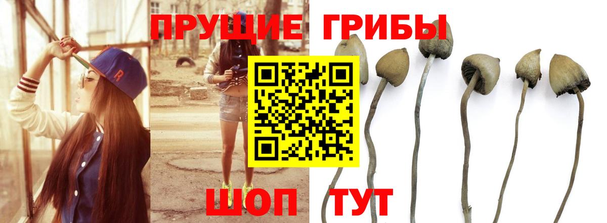 Галлюциногенные грибы Magic Shrooms Ревда